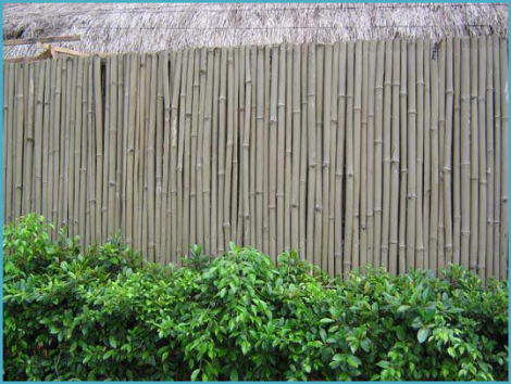 Забор из бамбука